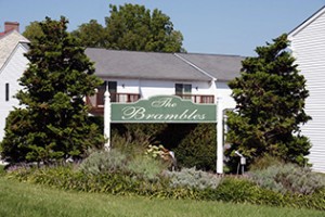 The Brambles